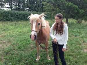 Le cheval et sa dresseuse attentif l'un à l'autre