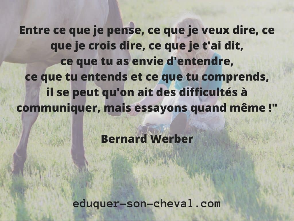 proverbe-werber