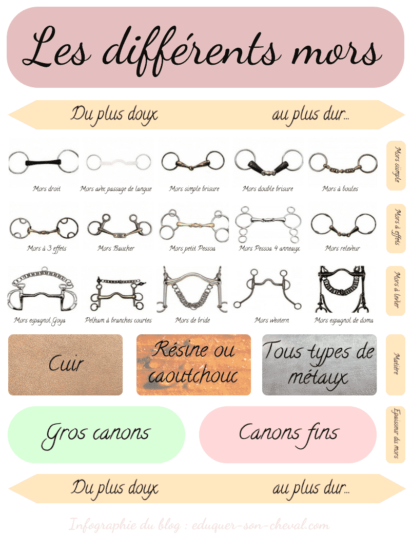 Les Différents Types Mors De Cheval D'occasion - Équipement équestre Avec Quelques Marques D'usure Mais Fonctionnel Matériel Cheval D'occasion