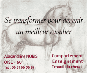 Se transformer pour devenir un meilleur cavalier - A.Nobis Enseignement et travail du cheval