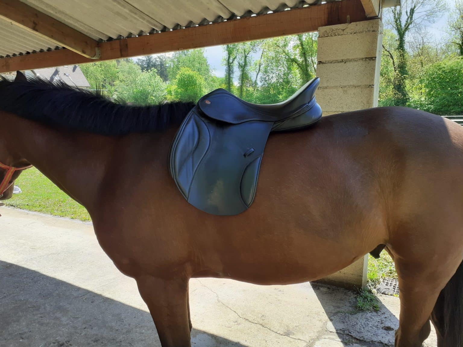 Économiseur De Siège Showman Pour Selle - Dessus Nylon Dessous Polaire Pour 519973