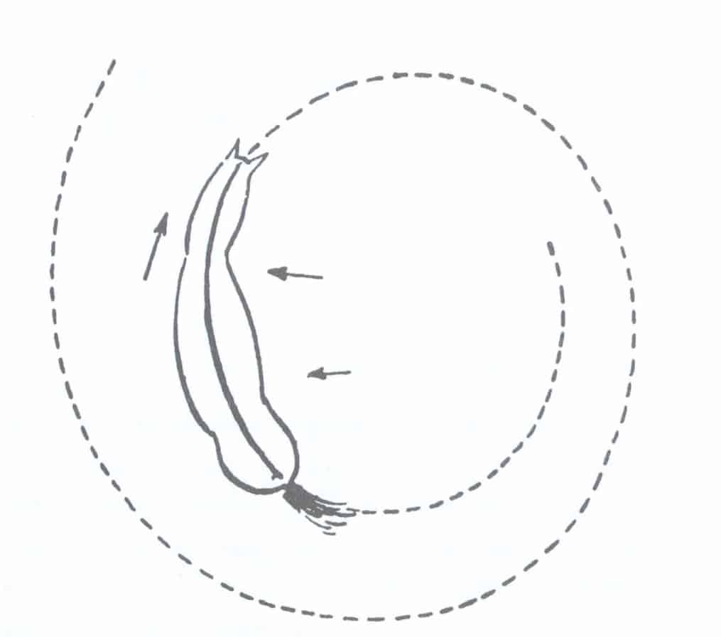 Agrandir le cercle avec la jambe intérieure pour ré-incurver son cheval sur le cercle.